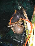IMG_4360 IMG_4360