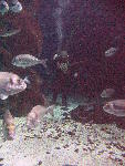 IMG_4361 IMG_4361