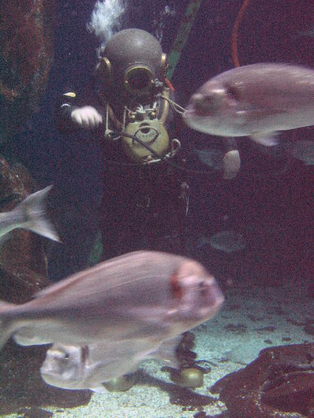 IMG_4362