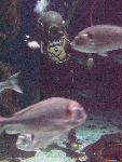 IMG_4362 IMG_4362