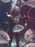 IMG_4363 IMG_4363