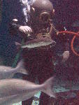 IMG_4364 IMG_4364