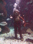IMG_4367 IMG_4367
