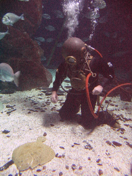IMG_4368
