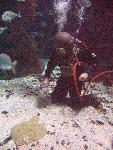 IMG_4368 IMG_4368