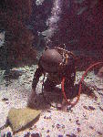 IMG_4369 IMG_4369