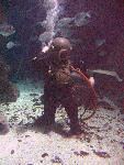 IMG_4370 IMG_4370