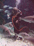 IMG_4371 IMG_4371
