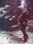 IMG_4372 IMG_4372