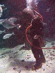 IMG_4373 IMG_4373