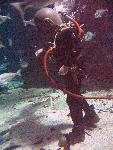 IMG_4374 IMG_4374