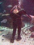 IMG_4375 IMG_4375
