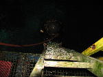 IMG_4376 IMG_4376