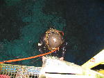IMG_4377 IMG_4377