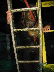 IMG_4431 IMG_4431