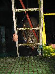 IMG_4432 IMG_4432