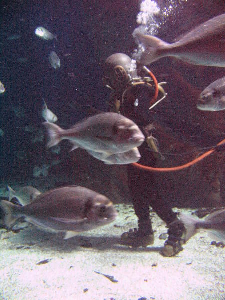 IMG_4433