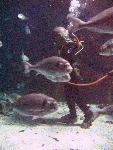 IMG_4433 IMG_4433