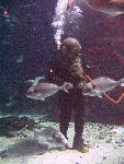IMG_4434 IMG_4434