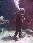 IMG_4435 IMG_4435