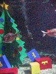 IMG_4436 IMG_4436