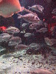 IMG_4437 IMG_4437