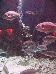 IMG_4438 IMG_4438