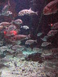 IMG_4440 IMG_4440