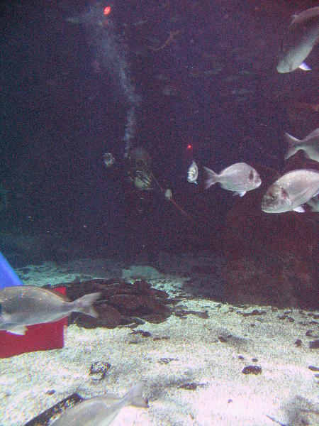 IMG_4441