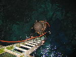 IMG_4442 IMG_4442