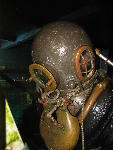 IMG_4443 IMG_4443