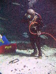 IMG_4491 IMG_4491