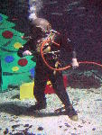IMG_4493 IMG_4493