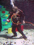 IMG_4494 IMG_4494