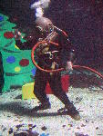 IMG_4495 IMG_4495