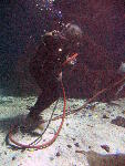IMG_4496 IMG_4496
