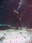 IMG_4497 IMG_4497