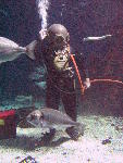 IMG_4500 IMG_4500