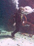 IMG_4502 IMG_4502