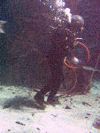 IMG_4503 IMG_4503