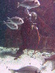 IMG_4504 IMG_4504