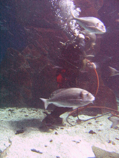 IMG_4505
