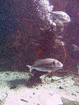 IMG_4505 IMG_4505