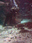 IMG_4506 IMG_4506