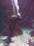 IMG_4507 IMG_4507