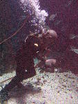 IMG_4508 IMG_4508