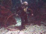 IMG_4509 IMG_4509