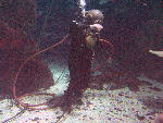 IMG_4510 IMG_4510