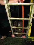IMG_4511 IMG_4511