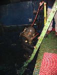 IMG_4536 IMG_4536